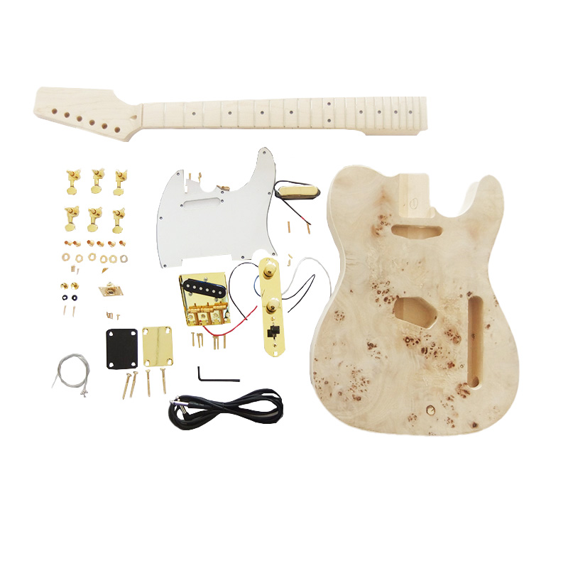 DIY TL Guitar Kit